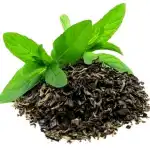 Assam Green Tea